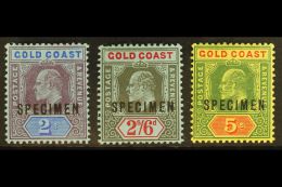 1907-13 3s, 2s6d & 5s Top Values With "SPECIMEN" Overprints, SG 66s/68s, Very Fine Mint, Very Fresh. (3... - Goldküste (...-1957)