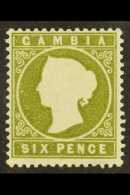 1886-93 6d Yellowish Olive-green, SG 32, Very Fine Mint. For More Images, Please Visit... - Gambia (...-1964)