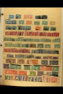 1867-1980's SPECIALIST'S VAST COLLECTION/ACCUMULATION Of Mint (some Modern Issues Never Hinged) And Used Stamps... - Salvador