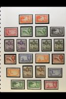 1937-50 KING GEORGE VI COMPLETE A Very Fine Mint Collection Which Includes 1938-48 Definitive Set Complete With... - Cayman Islands