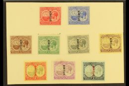 1920 Tercentenary Set Complete Overprinted "Specimen", SG 59s/67s, Mint Mounted On UPU Page (6d Damaged) Otherwise... - Bermuda