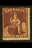 1873 3d Brown-purple, SG 63, Mint  & Fresh Colour For More Images, Please Visit... - Barbades (...-1966)