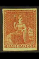 1852-55 (4d) Brownish Red, SG 5 , Fine Mint With 4 Margins. For More Images, Please Visit... - Barbades (...-1966)