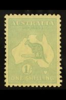 1929-30 1s Blue-green 'Roo, SG 109, Never Hinged Mint. For More Images, Please Visit... - Otros & Sin Clasificación