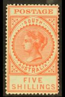SOUTH AUSTRALIA 1906-12 5s Bright Rose Perf 12½, SG 305, Very Fine Mint. For More Images, Please Visit... - Autres & Non Classés