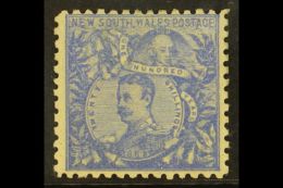 NEW SOUTH WALES 1888-89 20s Cobalt-blue, SG 262, Very Fine Mint. A Lovely Example Of This Scarce Stamp. For More... - Otros & Sin Clasificación