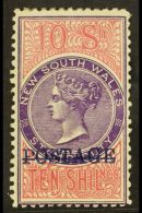 NEW SOUTH WALES 1894-04 10s Violet And Claret Perf 11, SG 275a, Very Fine Mint. For More Images, Please Visit... - Sonstige & Ohne Zuordnung