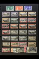 1937-49 MINT COLLECTION On A Stock Page. Includes Coronation Set, Pictorial Set Of All Values Plus Many... - Ascensión