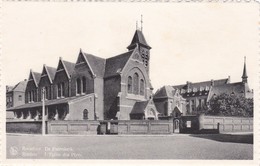 ROESELARE : Paterskerk - Roeselare