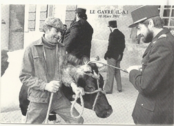 44  LE  GAVRE    SERIE  EVENEMENTS   LE  18  MARS  1981   MARQUAGE  DES  BETES  A  CORNES - Le Gavre