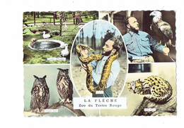 72 - LA FLECHE - PARC ZOOLOGIQUE ZOO - Oiseaux Aigle Royal Hibou Grand Duc Tigre Serpent Python - 1963 - Tiger