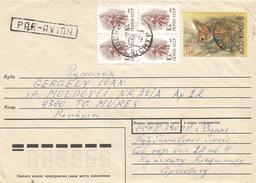 Russia 1989 Red Squirrel (Sciurus Vulgaris) Cover - Rongeurs