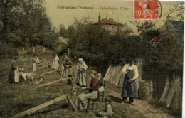 77 - FONTENAY-TRÉSIGNY - Éplucheuses D'Osier - VANNERIE - Petit Métier Du Bois - Toilée, Couleur - Fontenay Tresigny