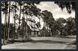 9128 - Alte Foto Ansichtskarte - Markgrafenheide Waldsiedlung - Gel 1959 - Ribnitz-Damgarten