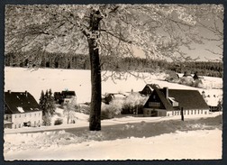 0559 - Alte Foto Ansichtskarte - Tellerhäuser - Landpoststempel Landpost über Kr. Schwarzenberg - Breitenbrunn