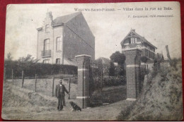 WOLUWE SAINT PIERRE Villas Dans La Rue Au Bois (RARE) - Zaventem