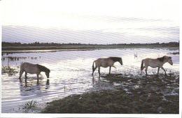 Picardie - Les Semaines Régionales De L'Environnement - Lieux Précis Non Identifié - Picardie