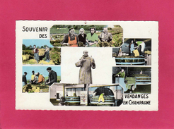 Souvenir Des VENDANGES EN CHAMPAGNE, Animée, 1966, (Combier) - Champagne-Ardenne