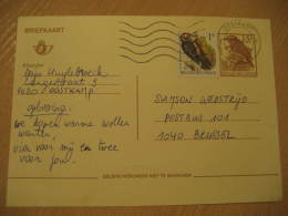 WOODPECKER PIC PAJARO CARPINTERO CLIMBING BIRDS Oostkamp 1994 Stamp On Postal Stationery Card Belgium - Piciformes (pájaros Carpinteros)