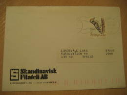 WOODPECKER PIC PAJARO CARPINTERO CLIMBING BIRDS Stockholm 1989 Stamp On Cover Sweden - Pics & Grimpeurs