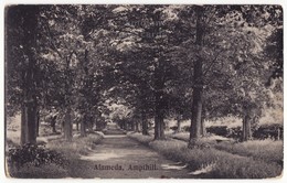 ALAMEDA, AMPTHILL SCENIC ROAD, BEDFORDSHIRE ENGLAND UK C1910s Vintage Postcard [6645] - Altri & Non Classificati