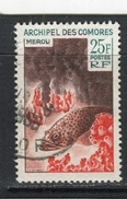 COMORES - Y&T N° 38° - Faune Marine - Mérou - Used Stamps