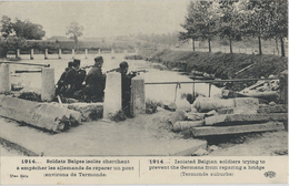 Termonde.   -   1914   -   Dendermonde - Dendermonde