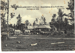 Carte Postale Ancienne De DOULAINCOURT - Doulaincourt