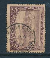 TASMANIA, Postmark  NEW NORFOLK - Used Stamps