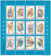 #162    BIRDS, CLIMBING BIRDS,   Mi. 4678/4701    12 STAMPS     1991,  MNH**, ROMANIA. - Specht- & Bartvögel