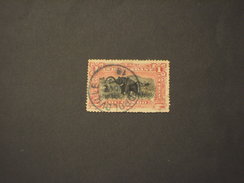 CONGO BELGA - 1894/900 ELEFANTE  1 F, - TIMBRATO/USED - Neufs