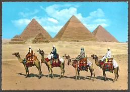 Giza Pyramiden - Pyramides