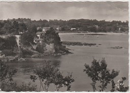 29 - PLOUGONVELIN - LE TREZ-HIR - LA PLAGE ET LES FALAISES VERS BERTHEAUME - Plougonvelin