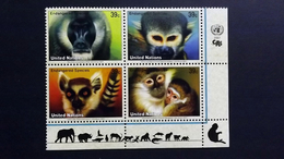 UNO-Genf 561/4 **/mnh EVB 'D', Gefährdete Arten: Dschelada, Brazzameerkatze, Schwarzweißer Vari, Silbergibbon - Nuevos