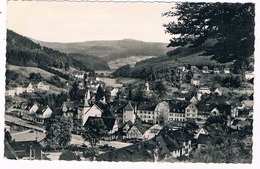 D-6811   BAD HERRENALB : Blick Ins Gaistal - Bad Herrenalb