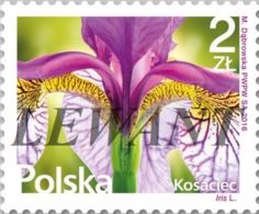 2016.07.22. Flowers And Fruits (11 )- Iris - MNH - Unused Stamps