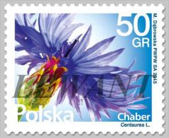 2016.01.20. Flowers And Fruit (7) - Flower Cornflower (Centaurea L.) - MNH - Ongebruikt