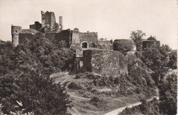 1949 - Bourscheid    " Les Ruines Du Château  "  ( Vers Esch ) - Burscheid