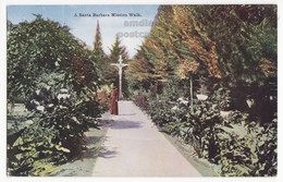 Santa Barbara Mission California - Father Monk On Garden Walkway C1910s Vintage Postcard  [6687] - Santa Barbara