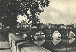 Roma (Lazio) Lungotevere, Sullo Sfondo La Basilica Di San Pietro - Fiume Tevere