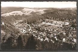 (4337) Triberg - Im Schwarzwald - Triberg