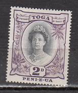 TONGA * YT N° 53 - Tonga (1970-...)