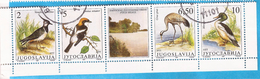 1991  246366  FAUNA WWF   JUGOSLAWIEN VOEGEL  BIRDS  GESCHUEZTE TIERE  USED - Oblitérés