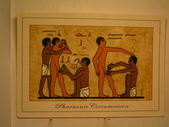 Scènes De Circoncision - La Tombe D' Ankh Ma Hor (tombe Du Médecin) - Saqqara - Personnes