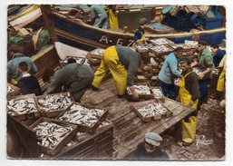 Pêche--en Bretagne --Déchargement De La Sardine (très Animée) Cpsm 15 X 10 N° 5851 éd Rema--timbre Errinophilie Végé - Fishing