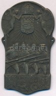 Osztrák-Magyar Monarchia 1917. 'In Memoriam 1914-1917' Fém Katonai Felvarró (64,5x37,5mm)... - Non Classés