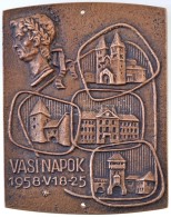 1958. 'Vasi Napok 1958. V. 18-25' Br Emlékplakett (83,5x107mm) Alul és Felül Egy-egy Fúrt... - Non Classés