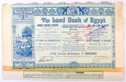 Egyiptom / Alexandria 1905. 'The Land Bank Of Egypt' Részvénye 5Å-ról, Szelvényekkel,... - Non Classés