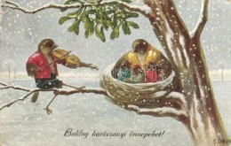 T2/T3 Boldog Karácsonyi Ünnepeket! / Christmas Greeting Card, Birds Playing The Violin, B.K.W.I.... - Sin Clasificación