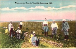 ** T1/T2 1925 Alentours Du Camp Du Museifre / Lebanese Military Postcard, Digging The Trench - Non Classés
